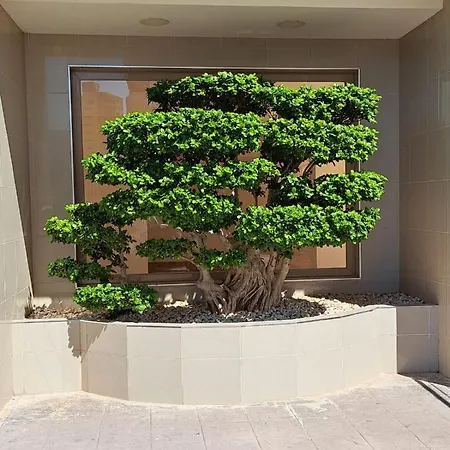 Esmeralda Seaview-suites Apartmán *